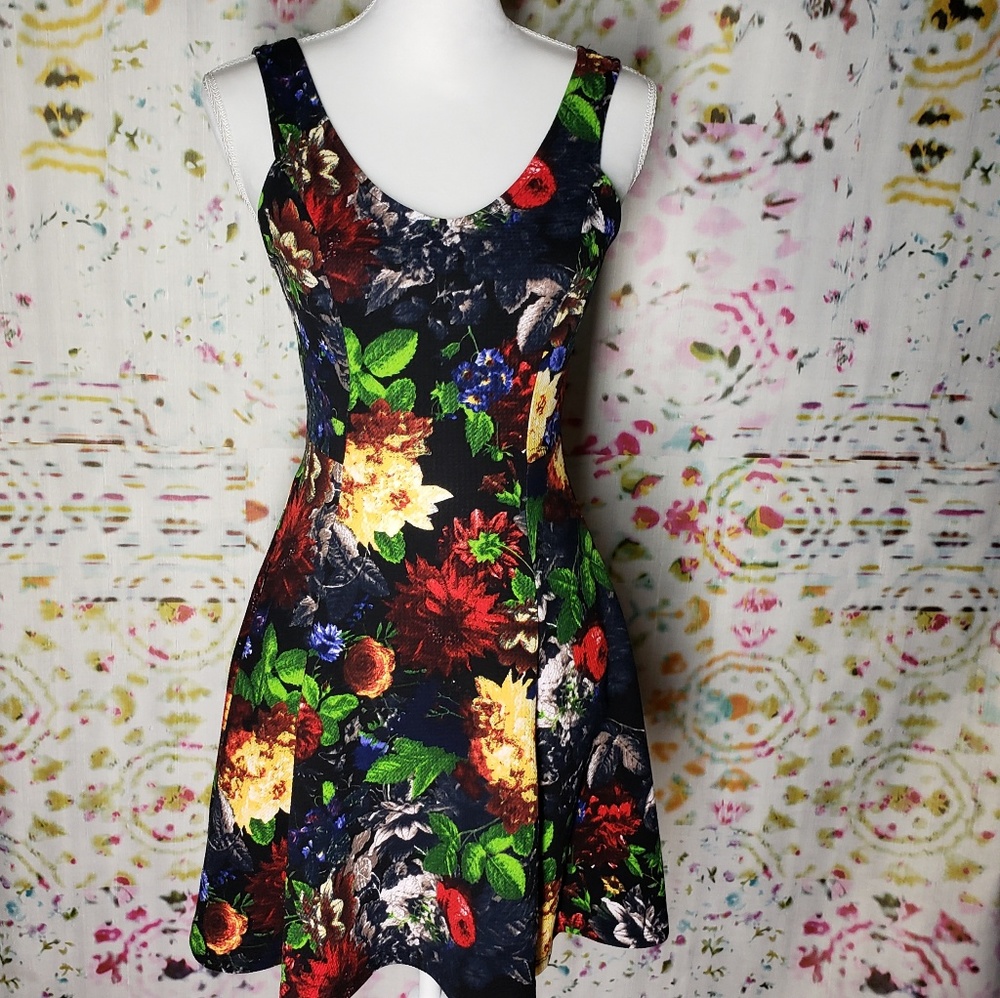 Soprano Floral Skater Dress sz S